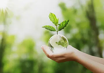 Health, safety and environment